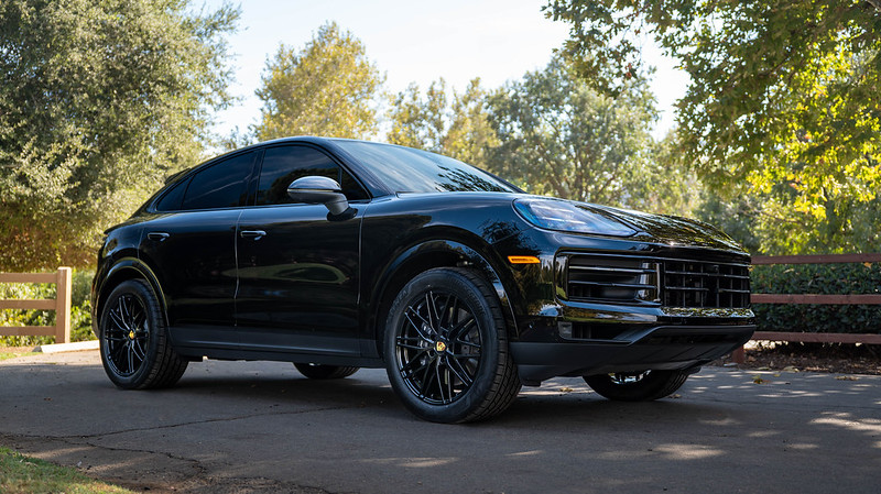 54060506809_311073f66b_c