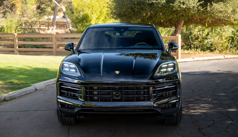 54060506814_b8838dccd3_c