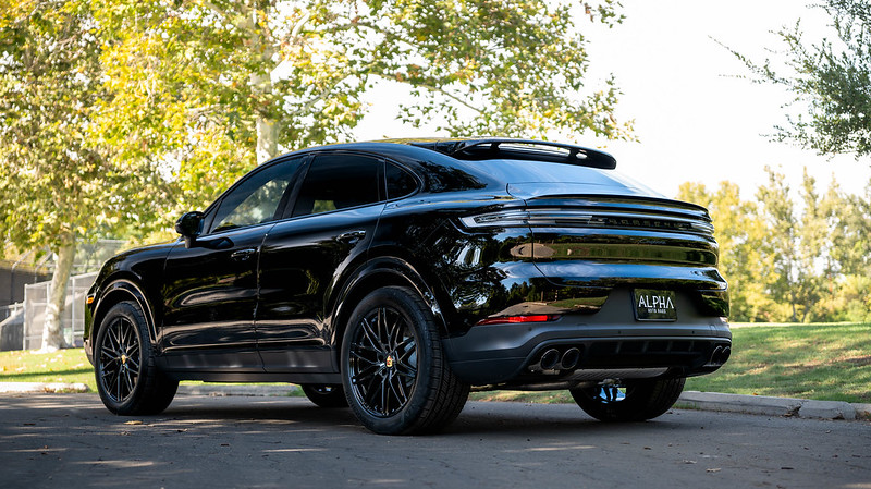 54060630890_087ae6767a_c