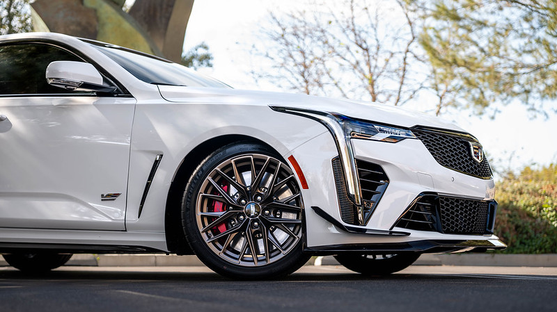 54109491307_b03c6e4909_c