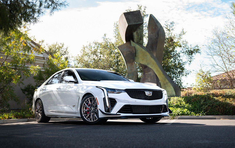 54110620198_6e12ee038c_c