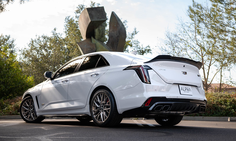 54110699609_3daf4eabac_c