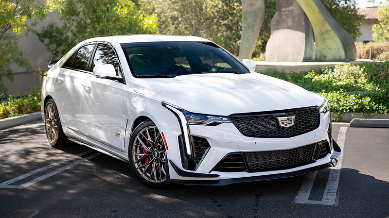 54110820185_7f1e18d05d_c