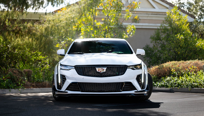 54110820190_5100eefc00_c