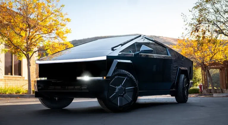 54154654530_78cccfda75_c