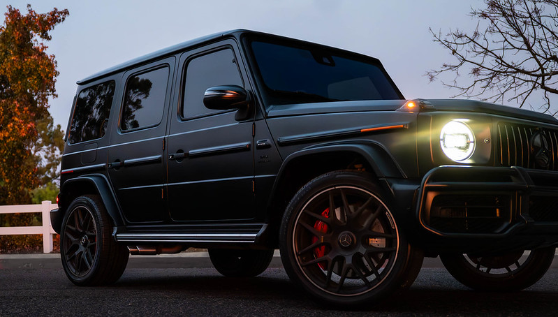 54199221190_cfc340890d_c