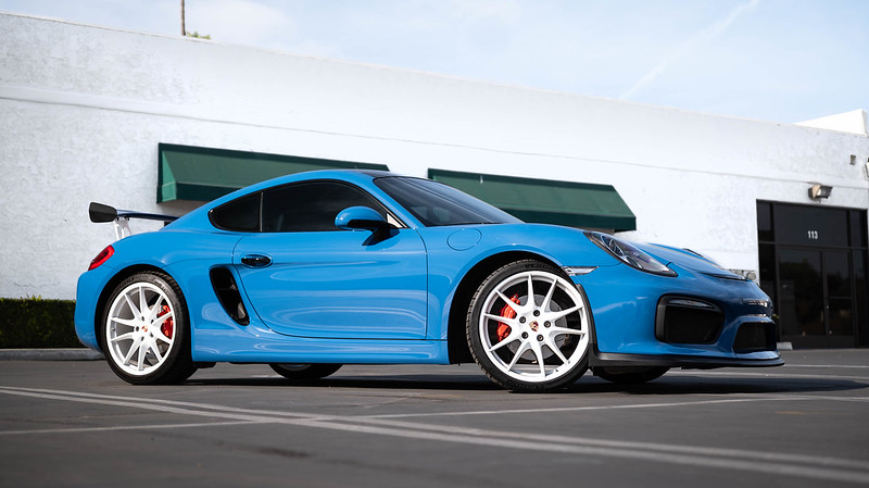 54203632287_19414301fa_c