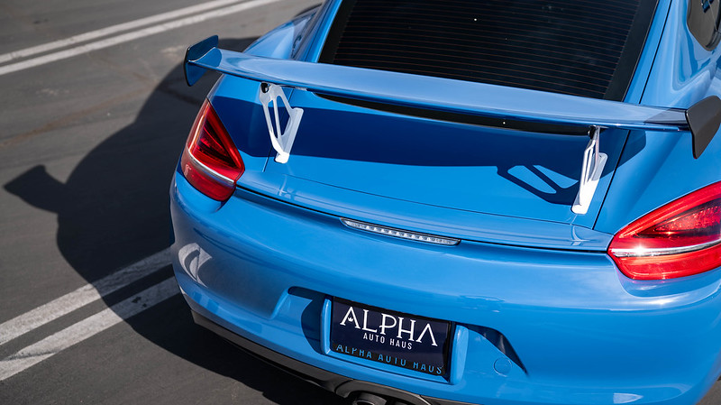 54204771978_cd7f613906_c