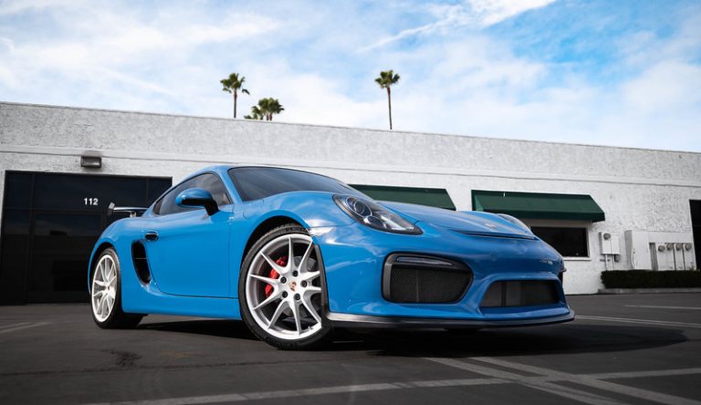 54204776529_504e11aa83_c