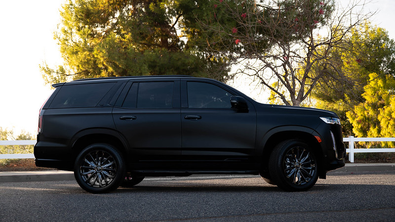 54235970817_a137f5c3a4_c