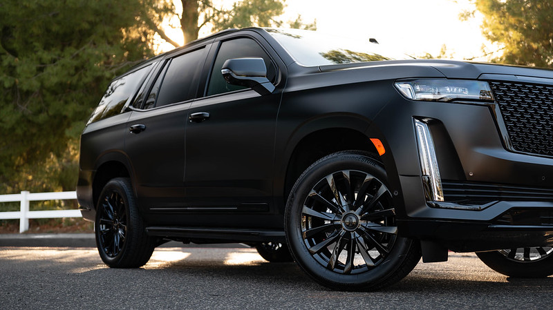 54236869516_bc7ee7a10b_c