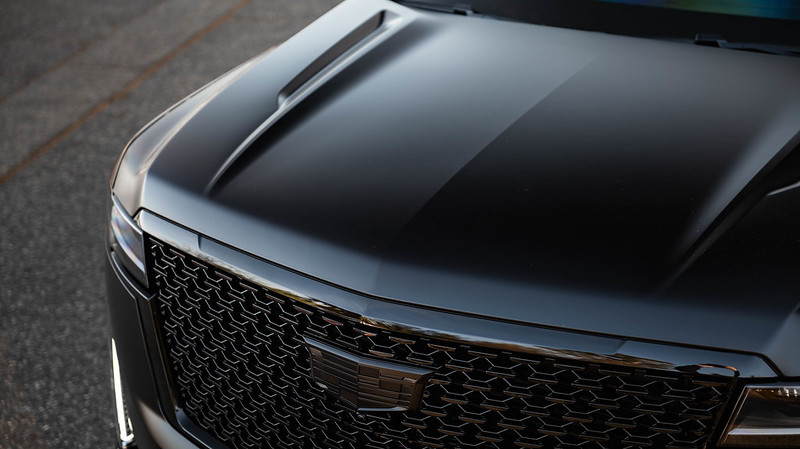 54236869551_cd13df5d65_c