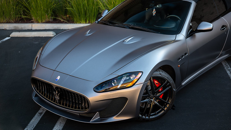 54268581903_e3dc8086ee_c